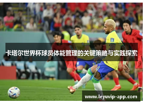 卡塔尔世界杯球员体能管理的关键策略与实践探索