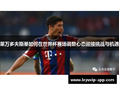 莱万多夫斯基如何在世界杯赛场调整心态迎接挑战与机遇