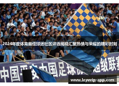 2024年度体育最佳球迷社区评选揭晓汇聚热情与荣耀的精彩时刻