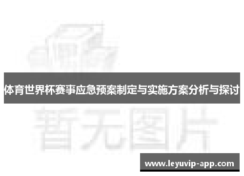 体育世界杯赛事应急预案制定与实施方案分析与探讨