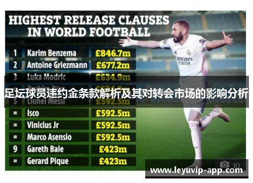 足坛球员违约金条款解析及其对转会市场的影响分析