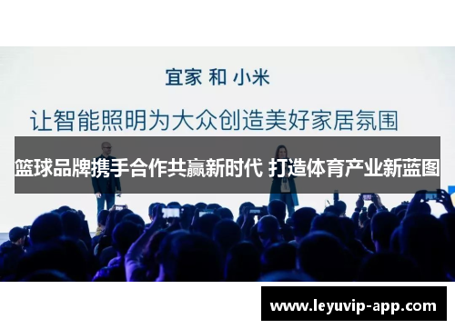 篮球品牌携手合作共赢新时代 打造体育产业新蓝图