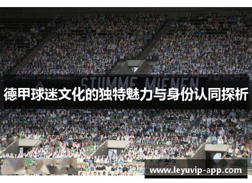 德甲球迷文化的独特魅力与身份认同探析