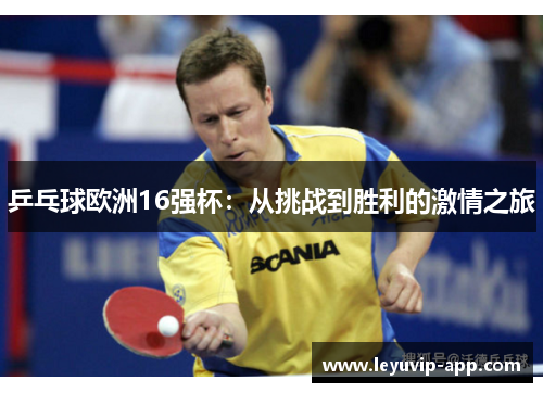 乒乓球欧洲16强杯：从挑战到胜利的激情之旅