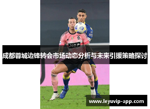 成都蓉城边锋转会市场动态分析与未来引援策略探讨