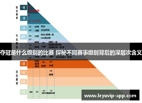 夺冠是什么级别的比赛 探秘不同赛事级别背后的深层次含义