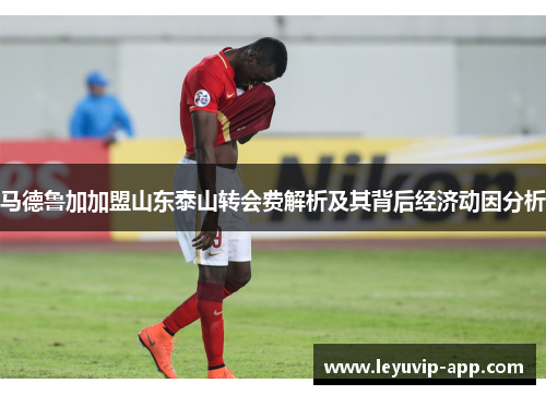 马德鲁加加盟山东泰山转会费解析及其背后经济动因分析