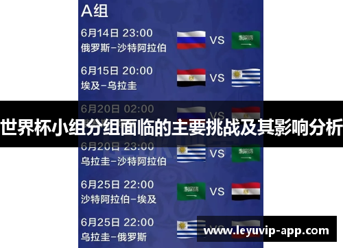 世界杯小组分组面临的主要挑战及其影响分析