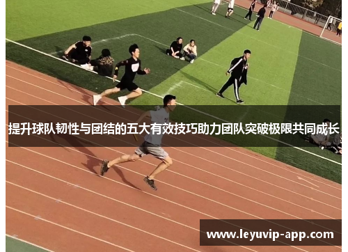 提升球队韧性与团结的五大有效技巧助力团队突破极限共同成长