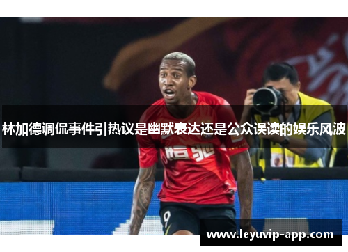 林加德调侃事件引热议是幽默表达还是公众误读的娱乐风波